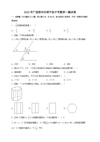 2023年广西贺州市昭平县中考数学一模试卷（含答案）