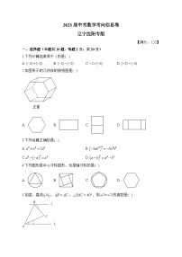 2023届中考数学考向信息卷 辽宁沈阳专版