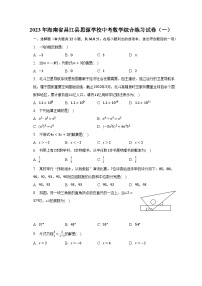 2023年海南省昌江县思源学校中考数学综合练习试卷（一）（含解析）