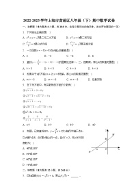 2022-2023学年上海市黄浦区八年级（下）期中数学试卷（含解析）