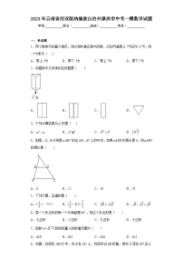 2023年云南省西双版纳傣族自治州景洪市中考一模数学试题（含答案）