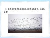 湘教版數(shù)學(xué)九年級(jí)上冊(cè) 綜合與實(shí)踐 如何估計(jì)魚(yú)的數(shù)量課件PPT