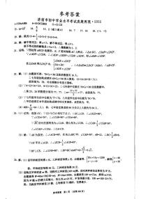 2023版中考数学211济南专版答案