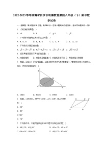 2022-2023学年湖南省长沙市明德教育集团八年级（下）期中数学试卷（含解析）