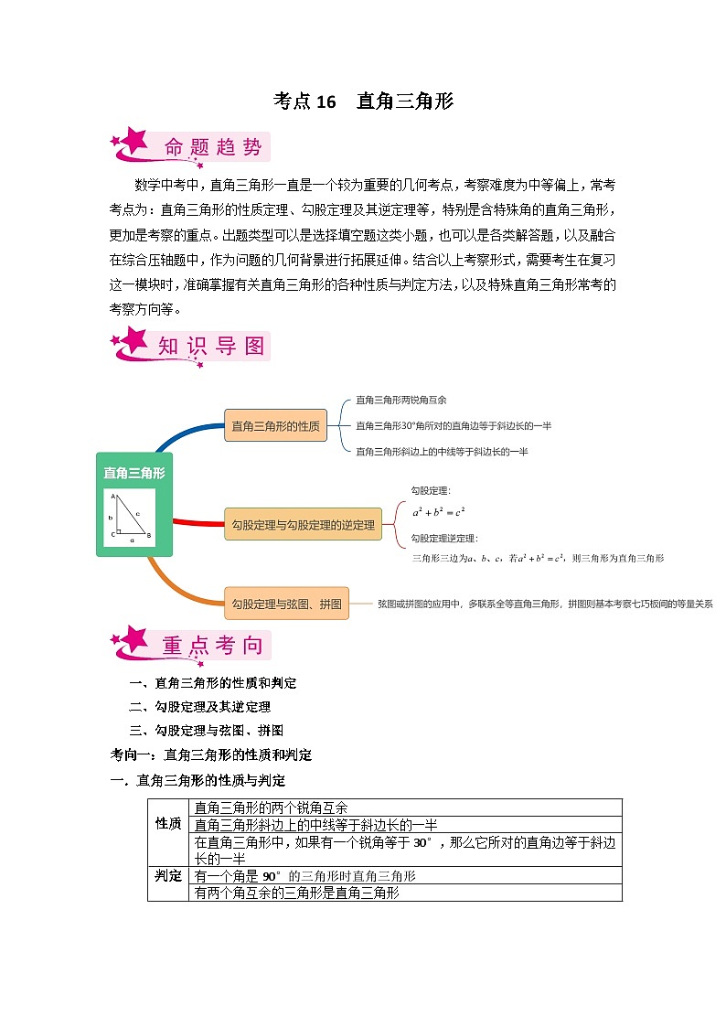 考点16 直角三角形-备战2023届中考数学一轮复习考点梳理（解析版）第1页