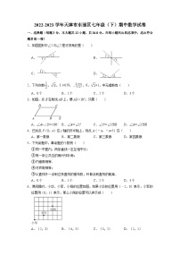 天津市东丽区2022-2023学年下学期七年级期中数学试卷+