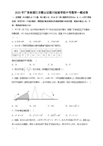 2023年广东省湛江市霞山区椹川实验学校中考数学一模试卷(含答案)