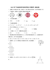 2023年广东省东莞外国语学校中考数学三模试卷(含解析）