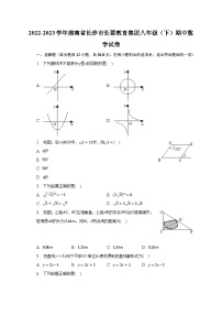 2022-2023学年湖南省长沙市长郡教育集团八年级（下）期中数学试卷(含解析）