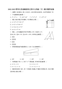 2022-2023学年江苏省南京师大附中七年级（下）期中数学试卷(含解析）