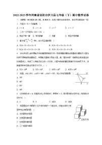 2022-2023学年河南省洛阳市伊川县七年级（下）期中数学试卷(含解析）