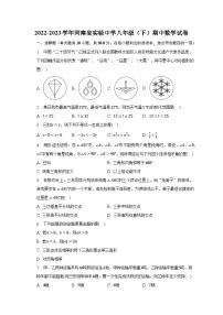 2022-2023学年河南省实验中学八年级（下）期中数学试卷(含解析）