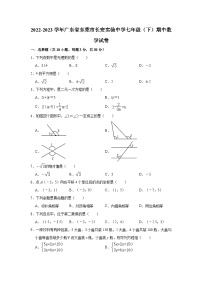 2022-2023学年广东省东莞市长安实验中学七年级（下）期中数学试卷（含解析）