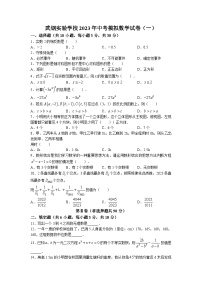 2023年湖北省武汉市武钢实验学校中考模拟数学试卷（一）(无答案)