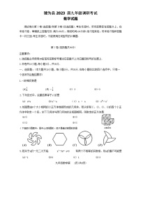 2023年四川省乐山市犍为县九年级调研考试数学试题（含答案）