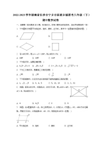 2022-2023学年湖南省长沙市宁乡市西部乡镇联考八年级（下）期中数学试卷（含解析）