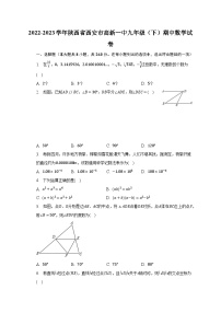 2022-2023学年陕西省西安市高新一中九年级（下）期中数学试卷（含解析）