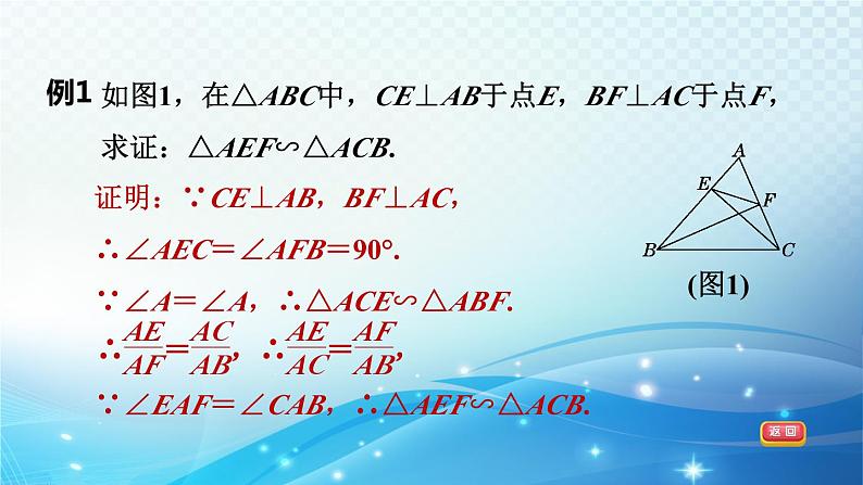 2023年中考复习大串讲初中数学之 拓展专项二　相似三角形的常见考法技巧 课件05