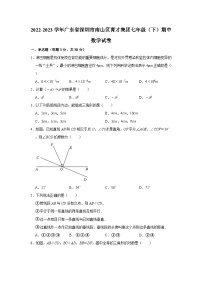 2022-2023学年广东省深圳市南山区育才集团七年级（下）期中数学试卷（含解析）