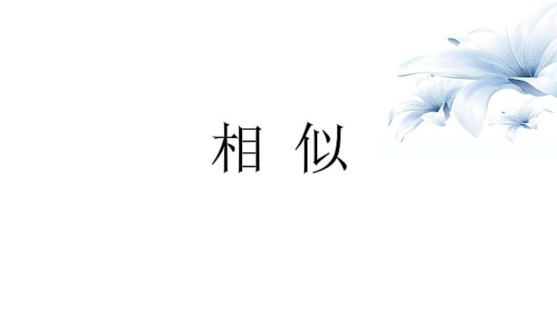 2023年九年级中考数学一轮复习课件　相似（含位似）第1页