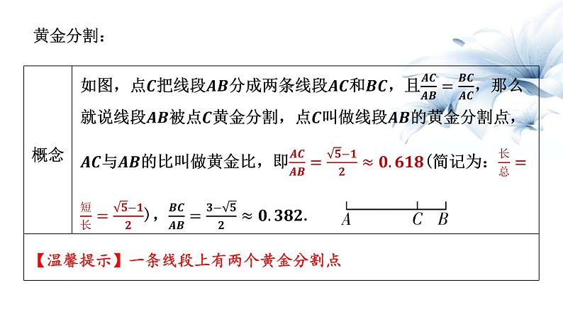 2023年九年级中考数学一轮复习课件　相似（含位似）第3页