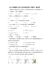 2023年湖南师大附中双语实验学校中考数学一模试卷（含解析）