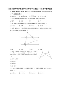 2022-2023学年广东省广州大学附中七年级（下）期中数学试卷（含解析）