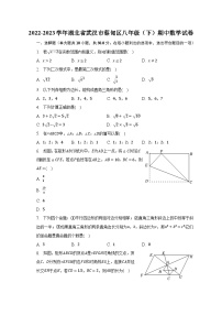 2022-2023学年湖北省武汉市蔡甸区八年级（下）期中数学试卷（含解析）