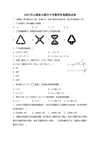 2023年云南省玉溪市+中考数学+仿真+模拟试卷（含答案）