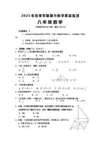 广西防城港市上思县2022-2023年八年级下学期数学期中教学质量检测