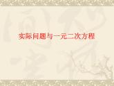 数学：22.3实际问题与一元二次方程课件2（人教新课标九年级上）