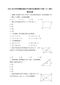 2022-2023学年新疆乌鲁木齐市新市区集团校八年级（下）期中数学试卷（含解析）