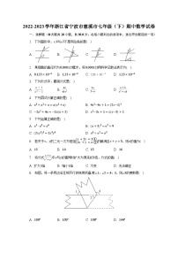 2022-2023学年浙江省宁波市慈溪市七年级（下）期中数学试卷（含解析）