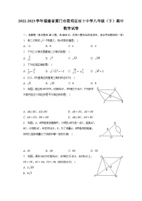 2022-2023学年福建省厦门市思明区双十中学八年级（下）期中数学试卷（含解析）