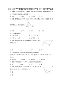 2022-2023学年湖南省长沙市浏阳市八年级（下）期中数学试卷（含解析）