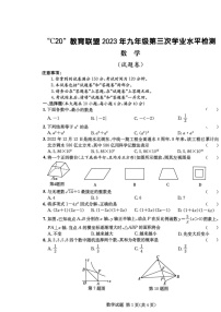 2023年安徽省C20教育联盟九年级第三次学业水平检测（三模）数学试卷