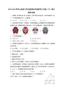 2022-2023学年山西省大同市新荣区两校联考九年级（下）期中数学试卷-普通用卷