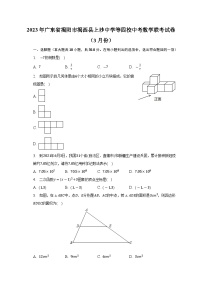 2023年广东省揭阳市揭西县上沙中学等四校中考数学联考试卷（含答案）