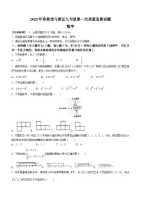 2023年四川省泸州市龙马潭区中考一模数学试题（含答案）