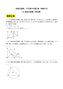 02挑战压轴题（填空题）-中考数学冲刺挑战压轴题专题汇编（安徽专用）