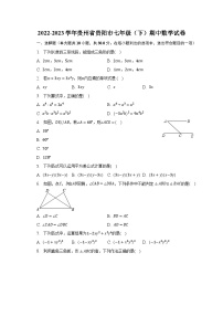 2022-2023学年贵州省贵阳市七年级（下）期中数学试卷（含解析）