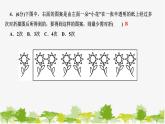 5.4 利用轴对称进行设计 北师版数学七年级下册课件