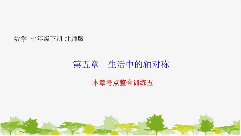 第5章 生活中的轴对称-本章考点整合训练 北师版数学七年级下册课件第1页