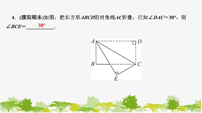 第5章 生活中的轴对称-本章考点整合训练 北师版数学七年级下册课件第5页