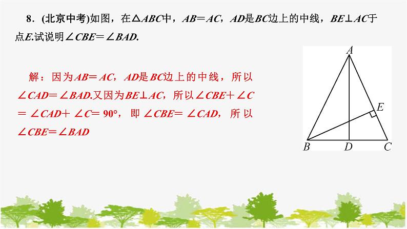 第5章 生活中的轴对称-本章考点整合训练 北师版数学七年级下册课件第8页