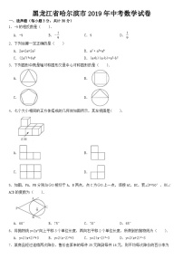 黑龙江省哈尔滨市2019年中考数学试卷【含答案】