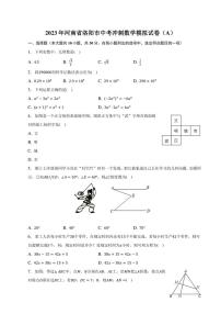 2023年河南省洛阳市中考冲刺数学模拟试卷（A）