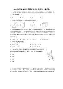 2023年河南省郑州外国语中学中考数学一模试卷（含解析）