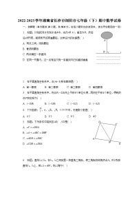 2022-2023学年湖南省长沙市浏阳市七年级（下）期中数学试卷（含解析）