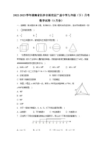 2022-2023学年湖南省长沙市雨花区广益中学九年级（下）月考数学试卷（3月份）（含解析）